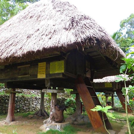 Native Village Inn Banaue Dış mekan fotoğraf
