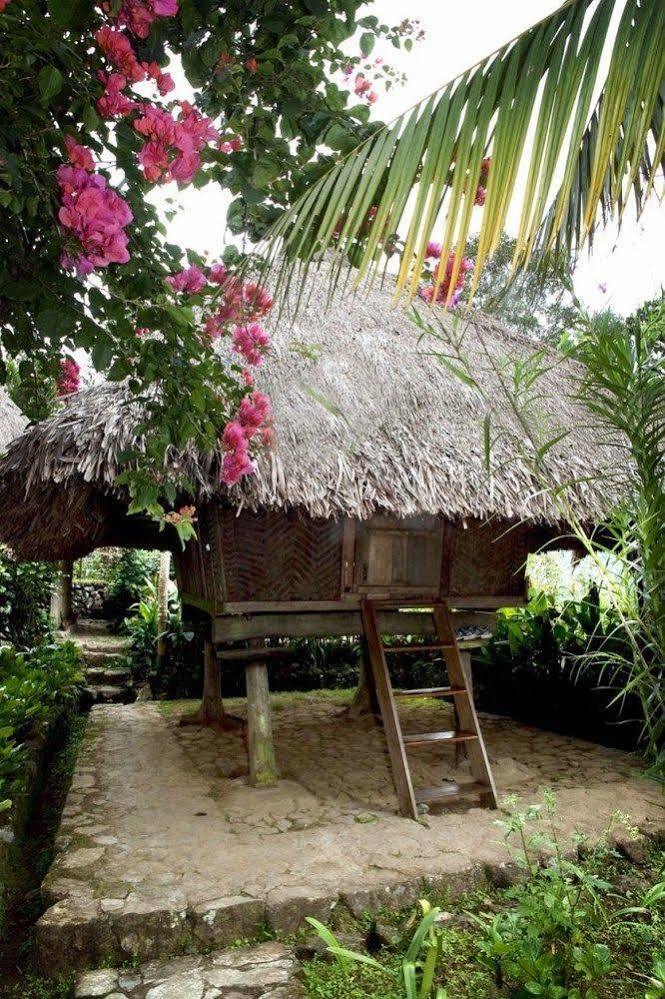 Native Village Inn Banaue Dış mekan fotoğraf