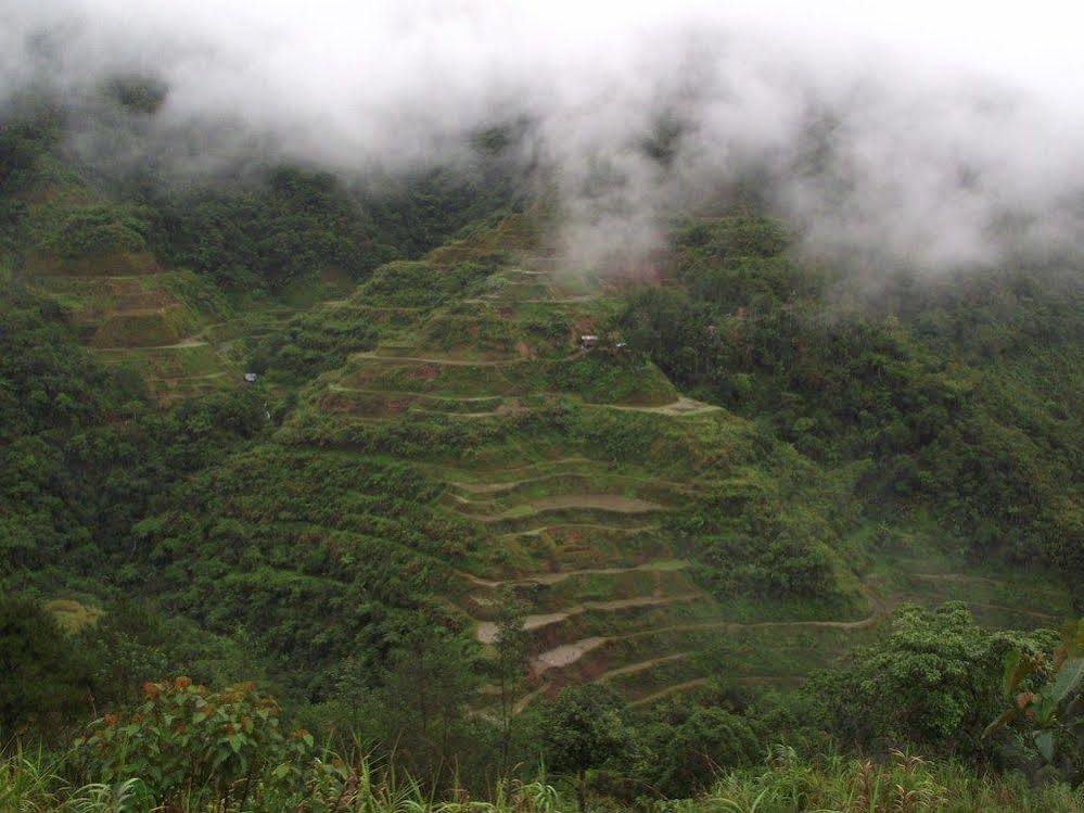 Native Village Inn Banaue Dış mekan fotoğraf