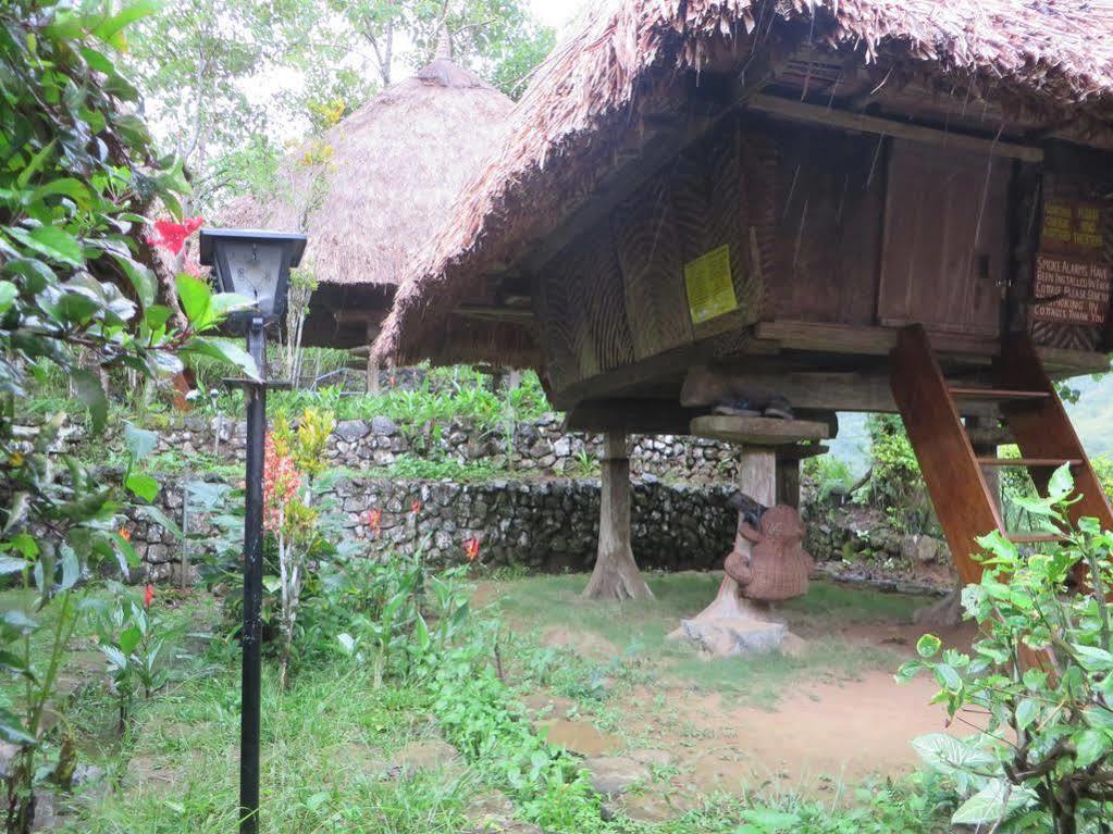 Native Village Inn Banaue Dış mekan fotoğraf